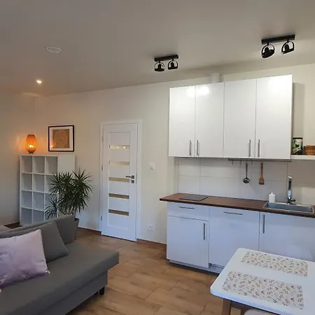 Apartament Sjesta Komfortowe Apartamenty, Prywatny Parking, Gratis Parking W Centrum Miasta *