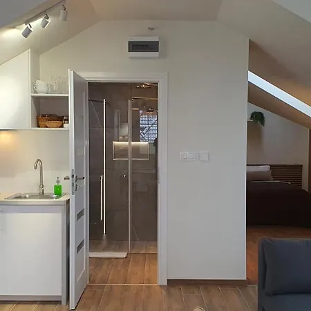 Sjesta Komfortowe Apartamenty, Prywatny Parking, Gratis Parking W Centrum Miasta * Kudowa-Zdrój