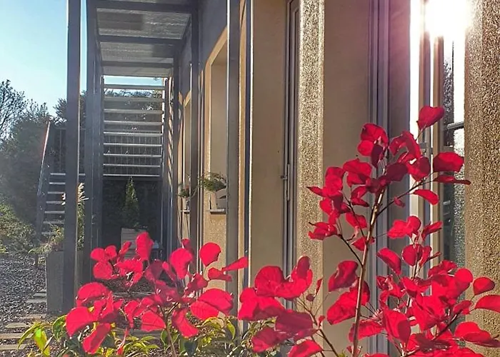 Διαμέρισμα Sjesta Komfortowe Apartamenty, Prywatny Parking, Gratis Parking W Centrum Miasta Kudowa-Zdrój