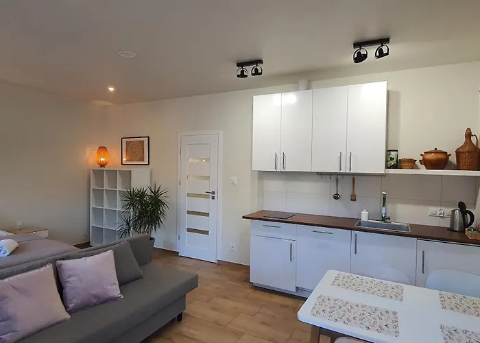 Διαμέρισμα Sjesta Komfortowe Apartamenty, Prywatny Parking, Gratis Parking W Centrum Miasta *