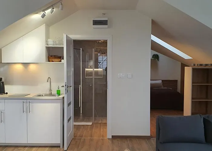 Sjesta Komfortowe Apartamenty, Prywatny Parking, Gratis Parking W Centrum Miasta * Kudowa-Zdrój