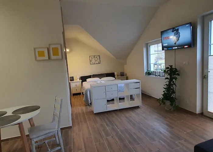 Διαμέρισμα Sjesta Komfortowe Apartamenty, Prywatny Parking, Gratis Parking W Centrum Miasta Kudowa-Zdrój