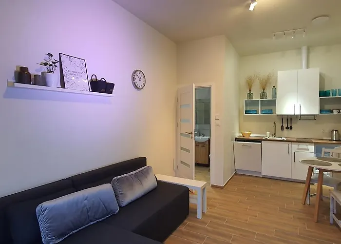 Sjesta Komfortowe Apartamenty, Prywatny Parking, Gratis Parking W Centrum Miasta *