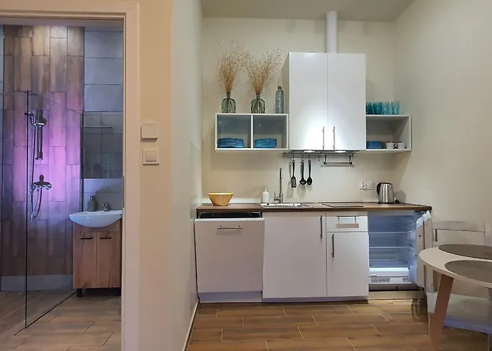 Sjesta Komfortowe Apartamenty, Prywatny Parking, Gratis Parking W Centrum Miasta Kudowa-Zdrój